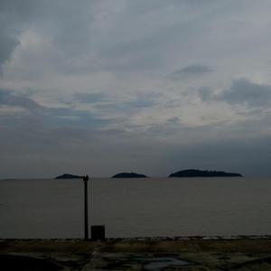 老女人高潮视频
