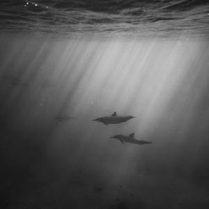 老女人高潮视频
